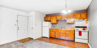 Paddock Place Gallery 14