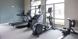 Lockhart Farms Gallery 18