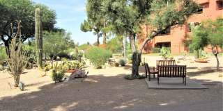 12222 N PARADISE VILLAGE Parkway Gallery 31