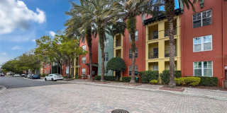 2421 W HORATIO STREET Gallery 1