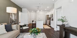 Ascend at Carlton Gallery 5