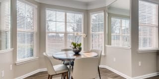 Lowry Park Gallery 8