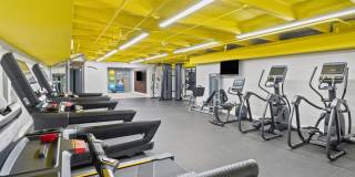 Aspen at Lake Trail Gallery 42