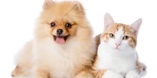 Park View Village Gallery 3