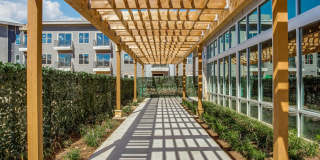 Trailhead Gallery 38