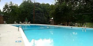 Glenmont Forest Gallery 25