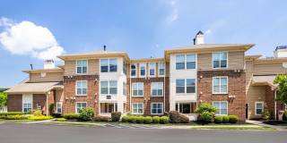 Butternut Ridge Gallery 40