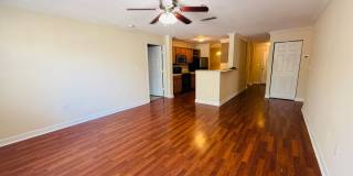 3 Bedroom, 2 Bath with Garage For Rent in New Tampa! Gallery 10