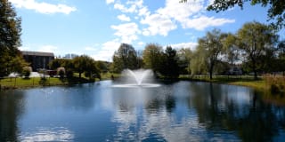 Woodsdale Gallery 15