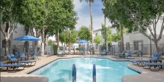 Haven at Towne Center Gallery 21
