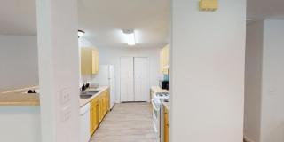 5105 Spruce Cove Gallery 9