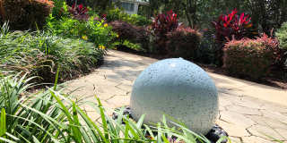 Lakewood Village Gallery 45