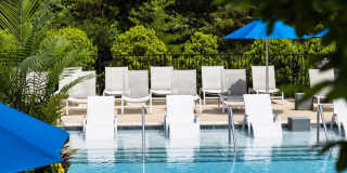 Avery at Turkey Creek Gallery 46