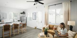 Canopy at Sundance Gallery 8