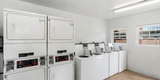 Newland Garden Gallery 17