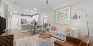 The Regency at Johns Creek Walk Gallery 14