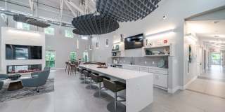 Aster at the Summit Gallery 15