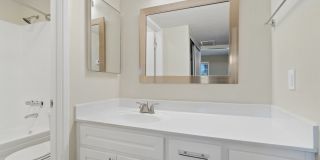 Agave Apartments Gallery 13