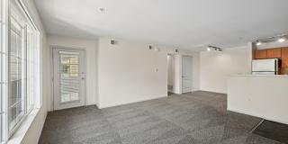 Ardenne Gallery 15