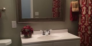 COLLEGE PROPERTY---PRE-LEASING FOR AUGUST! Amazing Updates! 3 bedroom 2 bath Gallery 12