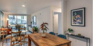 Arlo Gallery 9