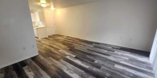 2510 Whispering Pine Dr Gallery 1