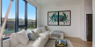 The Landing Gallery 14