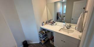 7323 Perseus Brook Gallery 17