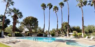 AVAILABLE NOW!! GORGEOUS 1 Bedroom 1 Bathroom - First Floor Condo in Palm Springs!! Gallery 1