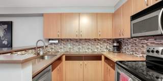 1Bd/1Ba Seattle Condo Gallery 4