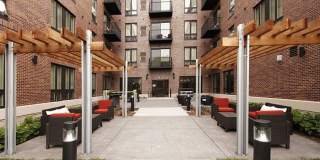 The Elysian Gallery 244