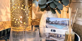 Park at Three Oaks Gallery 10