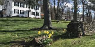 185 Main Street Gallery 1