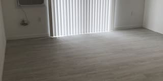 The Monika Gallery 6