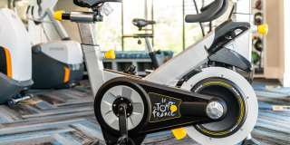 The Whitney Gallery 25