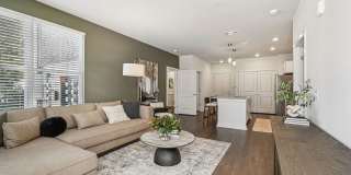 Ascend at Carlton Gallery 64