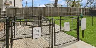 Allure Hermann Park Gallery 54