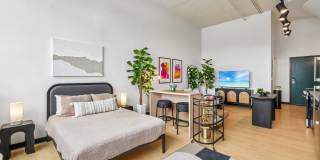 Piquette Flats Gallery 6
