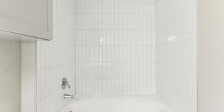 Lyra Gallery 10