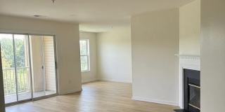11808 Eton Manor Drive Gallery 1