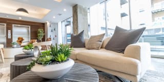 The Penny at Jackson Ward The Penny at Jackson Ward Gallery 29