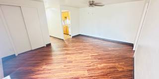 Ellsworth Towers Gallery 1