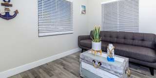 Aster on University Gallery 12