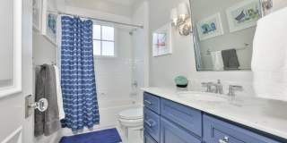 Davis Island Executive Home Gallery 33
