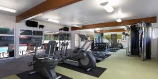 Palo Alto Place Gallery 12