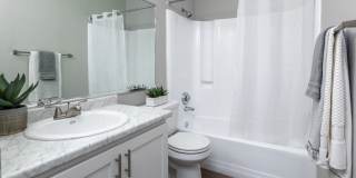 Carrington Lane Gallery 14