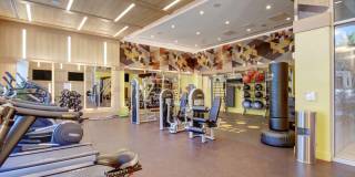 The Linden Gallery 16