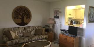 99 Saxony C Gallery 1