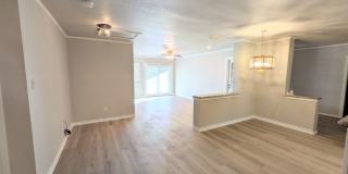 Leon Valley Gem!! Gallery 20