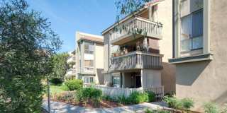 254 Sequoia Court Gallery 2